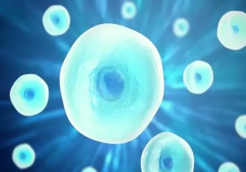 长沙供卵代怀儿子：月经前后女性的激素会发生变化，这些变化可能会影响女性的健康