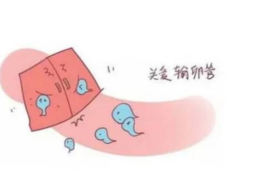 孕妇吃硝苯地平片保胎有用吗,最好不可盲目服用