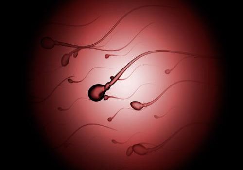 长沙试管供卵代怀：株洲三代试管医院排名前三医院公开，看看是哪三家