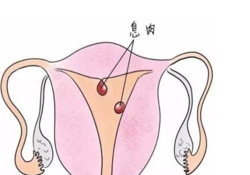 长沙代生公司：怀孕第39周的胎儿发育情况,女性怀孕39周注意事项有哪些