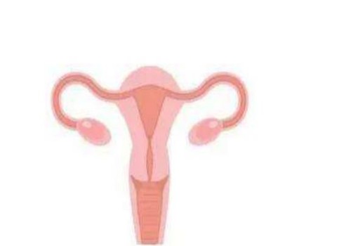 长沙试管供卵：孕酮低会间接导致不孕，要及时找准原因、并对症治疗